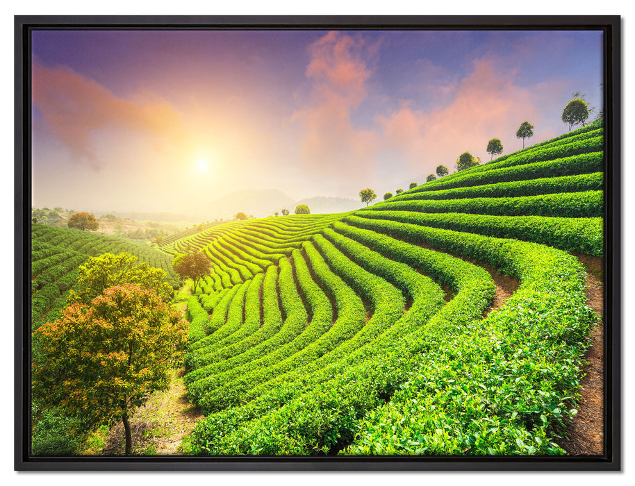 Japanische Treppenfelder auf Leinwandbild gerahmt Größe 80x60