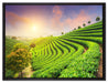 Japanische Treppenfelder auf Leinwandbild gerahmt Größe 80x60