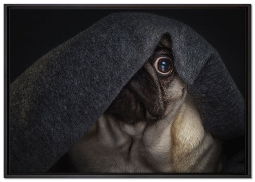 Süßer Lustiger Mobs Decke auf Leinwandbild gerahmt Größe 100x70