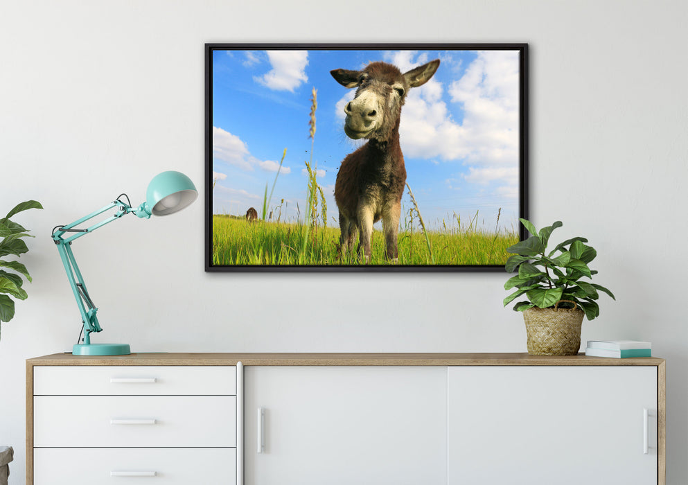 Esel in einem Feld auf Leinwandbild gerahmt verschiedene Größen im Wohnzimmer