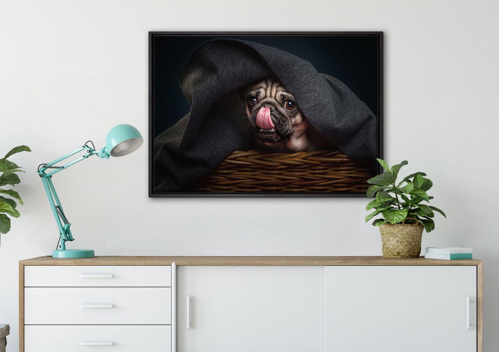 Süßer Mops unter der Decke auf Leinwandbild gerahmt verschiedene Größen im Wohnzimmer