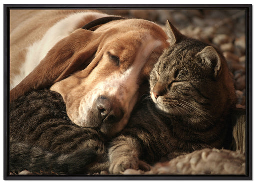 Katze und Hund kuschelnd auf Leinwandbild gerahmt Größe 100x70