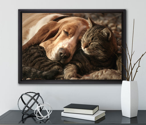 Katze und Hund kuschelnd auf Leinwandbild gerahmt mit Kirschblüten