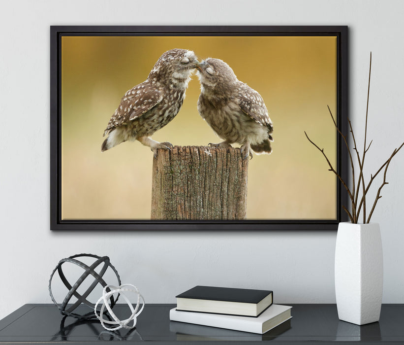 Küssende Eulen auf Leinwandbild gerahmt mit Kirschblüten