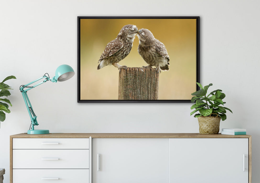 Küssende Eulen auf Leinwandbild gerahmt verschiedene Größen im Wohnzimmer