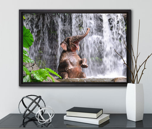 Babyelefant am Wasserfall auf Leinwandbild gerahmt mit Kirschblüten