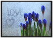Frühlingsblumen Tropfen auf Leinwandbild gerahmt Größe 100x70