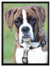 Schöner Deutscher Boxer im Gras auf Leinwandbild gerahmt Größe 80x60
