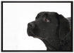 Schwarzer Labrador im Schnee auf Leinwandbild gerahmt Größe 100x70
