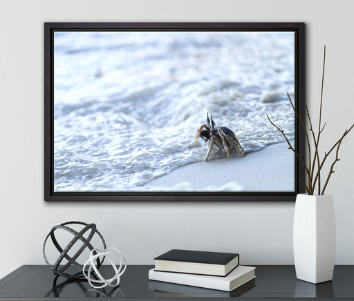 kleine Krabbe am Strand auf Leinwandbild gerahmt mit Kirschblüten