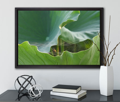 Spinnennetz zwischen Blättern auf Leinwandbild gerahmt mit Kirschblüten