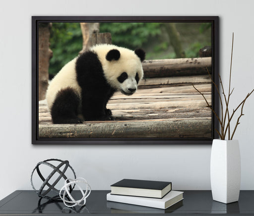 Panda auf Holzstämmen auf Leinwandbild gerahmt mit Kirschblüten