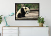 Panda auf Holzstämmen auf Leinwandbild gerahmt verschiedene Größen im Wohnzimmer