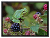 kleiner Frosch auf Brombeerstrauch auf Leinwandbild gerahmt Größe 80x60