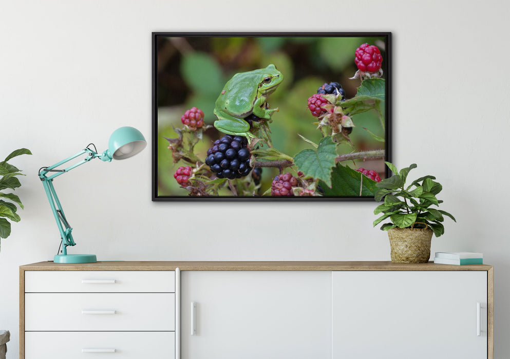 kleiner Frosch auf Brombeerstrauch auf Leinwandbild gerahmt verschiedene Größen im Wohnzimmer