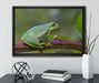 kleiner Frosch auf Dornenast auf Leinwandbild gerahmt mit Kirschblüten