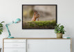 Eichhörnchen hinter Baumstamm auf Leinwandbild gerahmt verschiedene Größen im Wohnzimmer