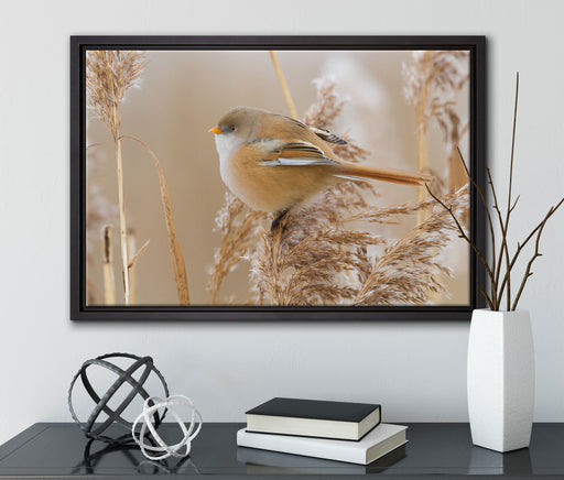 kleiner Vogel auf Weizen auf Leinwandbild gerahmt mit Kirschblüten