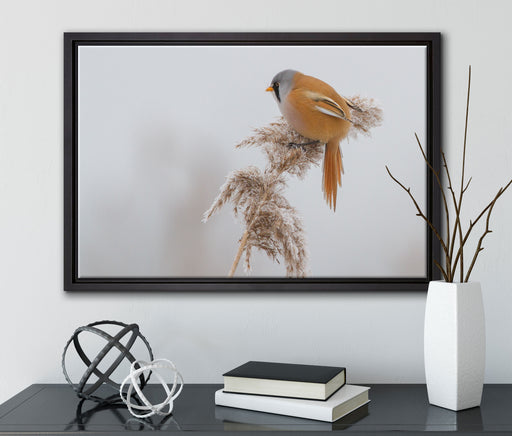 Vogel auf Weizen im Winter auf Leinwandbild gerahmt mit Kirschblüten