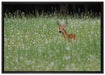 kleines Rehkitz auf Wiese auf Leinwandbild gerahmt Größe 100x70
