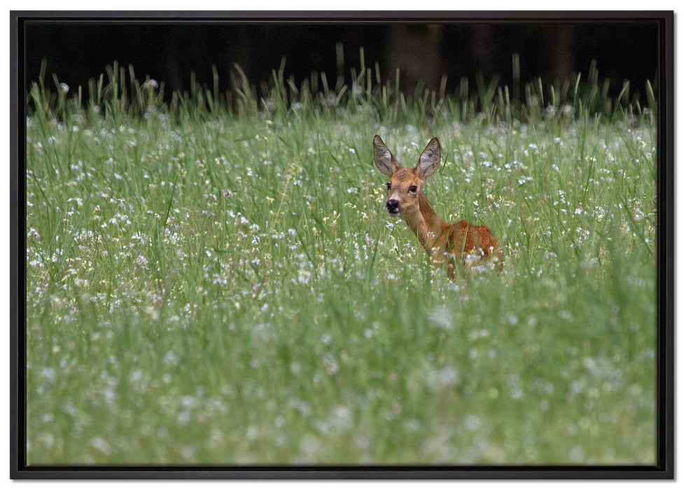kleines Rehkitz auf Wiese auf Leinwandbild gerahmt Größe 100x70