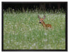 kleines Rehkitz auf Wiese auf Leinwandbild gerahmt Größe 80x60