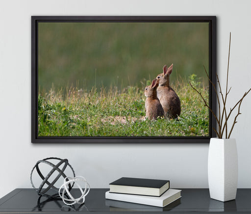 zwei Häschen auf Frühlingswiese auf Leinwandbild gerahmt mit Kirschblüten