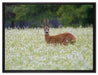 junger Hirsch auf Wildwiese auf Leinwandbild gerahmt Größe 80x60