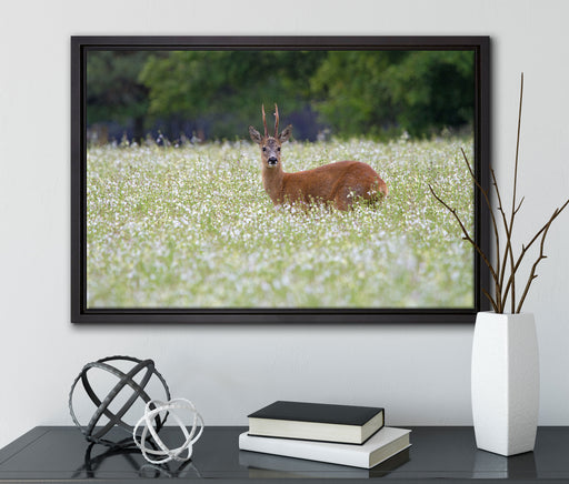junger Hirsch auf Wildwiese auf Leinwandbild gerahmt mit Kirschblüten