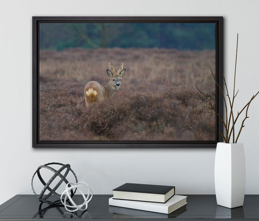 junger Hirsch auf dunkler Wiese auf Leinwandbild gerahmt mit Kirschblüten