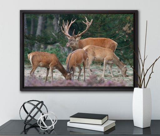 Hirschfamilie auf Waldlichtung auf Leinwandbild gerahmt mit Kirschblüten
