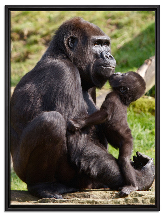 Gorilla-Baby küsst seine Mutter auf Leinwandbild gerahmt Größe 80x60