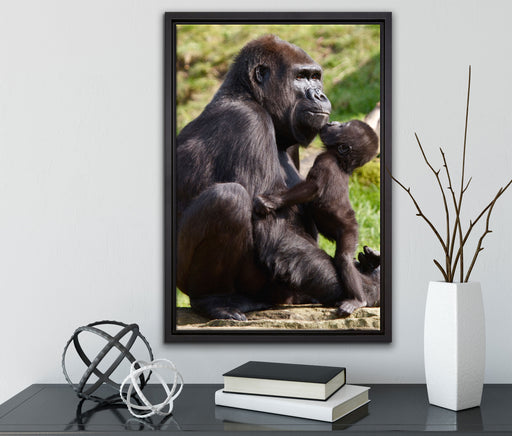 Gorilla-Baby küsst seine Mutter auf Leinwandbild gerahmt mit Kirschblüten