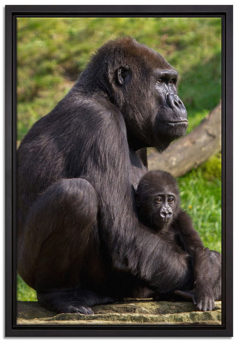 Liebevolle Gorillafamilie auf Leinwandbild gerahmt Größe 60x40