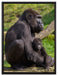 Liebevolle Gorillafamilie auf Leinwandbild gerahmt Größe 80x60
