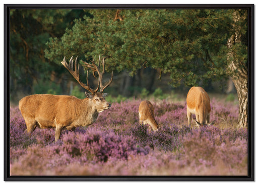 Hirschfamilie Frühling auf Leinwandbild gerahmt Größe 100x70