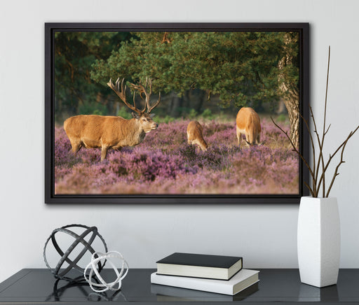 Hirschfamilie Frühling auf Leinwandbild gerahmt mit Kirschblüten