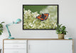 Schmetterling auf weißen Blüten auf Leinwandbild gerahmt verschiedene Größen im Wohnzimmer