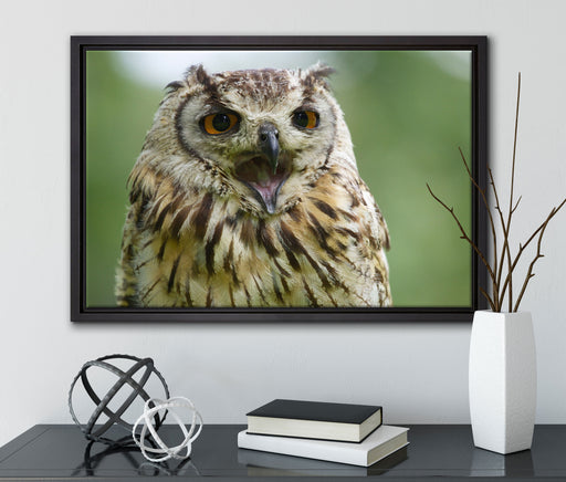 große Waldeule gähnt auf Leinwandbild gerahmt mit Kirschblüten