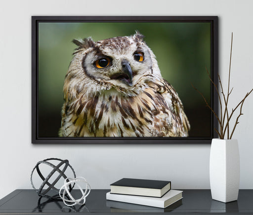 sehr müde Waldeule auf Leinwandbild gerahmt mit Kirschblüten