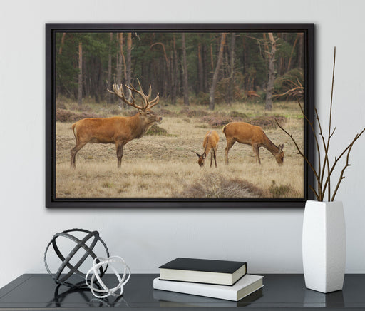 Hirschfamilie auf Waldlichtung auf Leinwandbild gerahmt mit Kirschblüten
