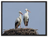 zwei stolze Störche im Nest auf Leinwandbild gerahmt Größe 80x60