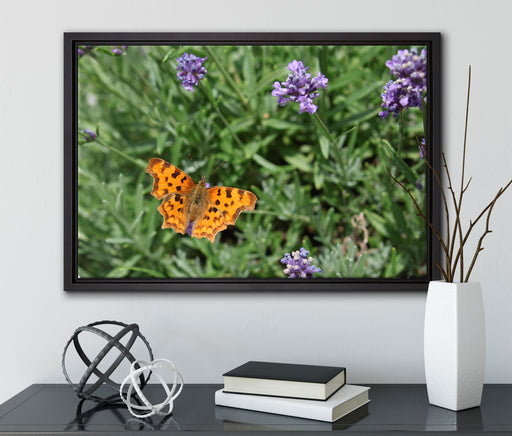 Schmetterling auf Blumenwiese auf Leinwandbild gerahmt mit Kirschblüten