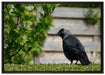 Vogel auf Gartenwiese auf Leinwandbild gerahmt Größe 100x70