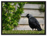 Vogel auf Gartenwiese auf Leinwandbild gerahmt Größe 80x60