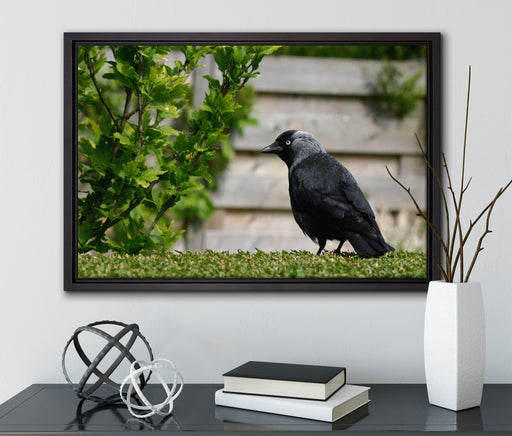 Vogel auf Gartenwiese auf Leinwandbild gerahmt mit Kirschblüten