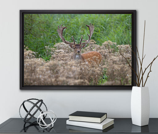 Hirschbock auf Wildwiese auf Leinwandbild gerahmt mit Kirschblüten