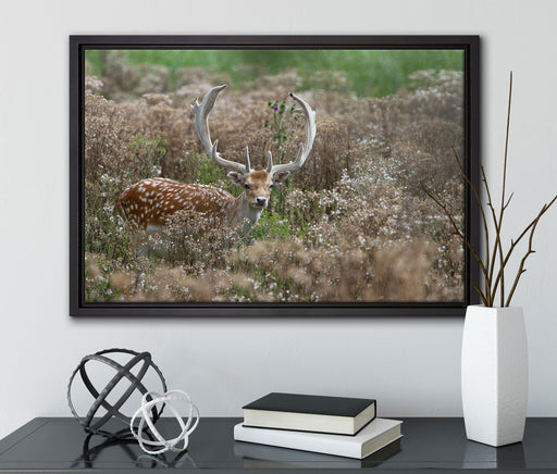 Axishirsch auf Wildwiese auf Leinwandbild gerahmt mit Kirschblüten