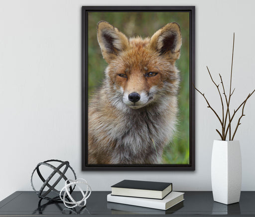 schöner Fuchs auf Leinwandbild gerahmt mit Kirschblüten