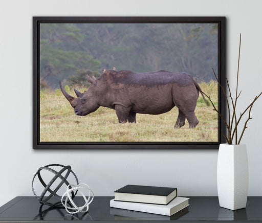 großes Nashorn in der Savanne auf Leinwandbild gerahmt mit Kirschblüten